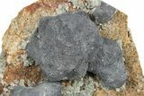 Galena and Green Fluorite - Diana Maria Mine, England #235388-1